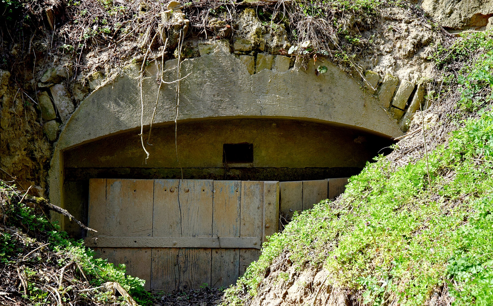 Kulturgut Kellergassen – Wikimedia Österreich