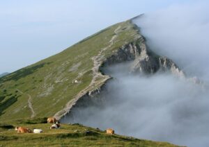 Nebel auf der Rax in Niederösterreich